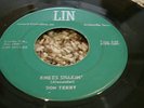 RARE ROCKABILLY 45/ DON TERRY 