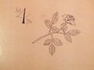 The Rarest Modern Soul Lp - George Smallwood - Just 4