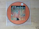 Slayer Hell Awaits Picture Lp