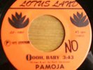 PAMOJA and JEWEL funk breaks modern soul LOTUS LAND