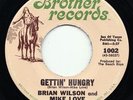 Brian Wilson/Mike Love 