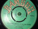 RARE REGGAE Ken Parker - My Whole World Is Falling Down