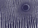 Sunn O))) - The GrimmRobe Demos 2x LP Southern Lord M