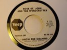 TEFTELLER Northern Soul Rose St. John Wonderettes Veep