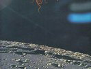 BEHERIT ---drawing down the moon--LP--first press-