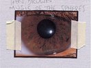 Ian Brown Music Of The Spheres F.E.A.R Northern Lights