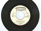 60's GARAGE The Canadian Rogues KEEP IN TOUCH PALMER 45