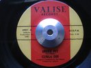 Funk 45 GUNGA DIN Snake Pit/Crabcakes Valise HEAR