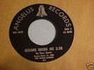 STONE GARDEN : Heavy 1969 Fuzz Psych Garage 45 Fraction