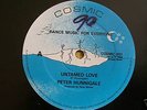 PETER HUNNIGALE - UNTAMED LOVE - COSMIC 12 - HEAR