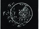 Plastic Surgery - Rivolta 7