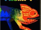 Frumpy LP - All will be changed - GIMMIX Cover