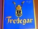 TREDEGAR - VINYL LP 1986 G/F SLEEVE Signed. (BUDGIE)