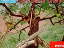 PETE RUGOLO BUD SHANK JIMMY GIUFFRE ORIG EmArcy