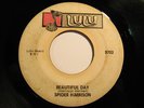 Funk 45 SPIDER HARRISON Beautiful Day LULU HEAR