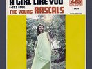 THE YOUNG RASCALS  A Girl Like You  PICTURE SLEEVE + 45