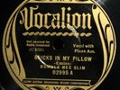 BUMBLE BEE SLIM -- Vocalion 02995  hot blues 78