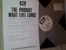 PRODIGY WHAT EVIL LURKS WITH PRESS SHEET RARE