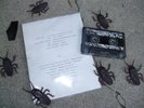 BETHEL tape 1983 NWW foetus COIL Boyd Rice LAFMS
