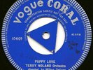 DEMO VOGUE CORAL SINGLE TERRY NOLAND 