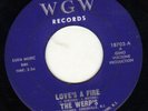 BFTG GARAGE-MOD-on WGW-18703--the WERPS -HEAR BOTH