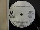 RICHARD HEWSON ORCHESTRA-DO WHEN THE DISCO'S OVER-12