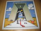 Lightning Fuzz Psych The Litter Org. Lp