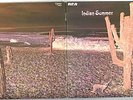 1971 INDIAN SUMMER Same NEON UK rare Rock ORIGINAL