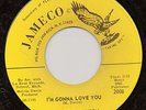 NORTHERN SOUL 45 RPM - EDWARD HAMILTON - JAMESCO RECORD