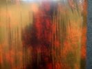 S.V.E.S.T. - Urfaust  Full-length, End All Life Lp
