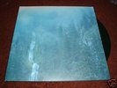 WOLVES IN THE THRONE ROOM 