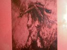 FIELDS OF THE NEPHILIM. BURNING THE FIELDS EP. N1(1985)