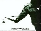 The Grey Wolves-Victory Through Violence GENOCIDE ORGAN