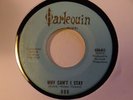 TEFTELLER Garage Punk 006 Like What, Me Worry Harlequin