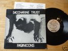 SACCHARINE TRUST - Paganicons - Orig US '81 LP (SST)