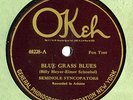 Okeh 40228 SEMINOLE SYNCOPATORS great New Orleans Band