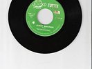 PSYCH-TURTLE 1107-CALICO WALL-FLIGHT REACTION (VG+)