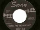 Northern Soul Audrey Soul -SWAN   HEAR IT