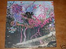 Animal Collective Here Comes the Indian LP Panda Bear