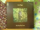 Anne Briggs – The Time Has Come – original CBS LP