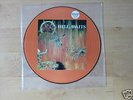 SLAYER-HELL AWAITS  RARE ORIGNALE PICTURE LP
