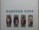 BLOSSOM TOES We Are Ever So Clean UK mono psych LP