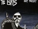 THE BATS/BY NIGHT/FLYING NUN