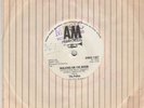 THE POLICE  ZIMBABWE 45  WALKING ON THE MOON