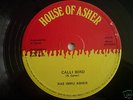 RAS IMRU ASHER - CALI BIRD / 4th GENERATION roots12