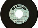 SURF VOCAL- BEACHCOMBERS- SURFIN THE SUMMER AWAY- DJ-EX