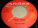 RAIDERS Rare Rockabilly 45 on Andex - Hocus Pocus VG++
