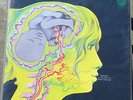 Dedicated to you Keith Tippett Vertigo Vinyl