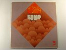BUMP S/T PIONEER LP SEALED rare psych