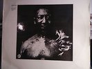 MUDDY WATERS After the Rain '69 FUZZ FUNK PSYCH LP HEAR